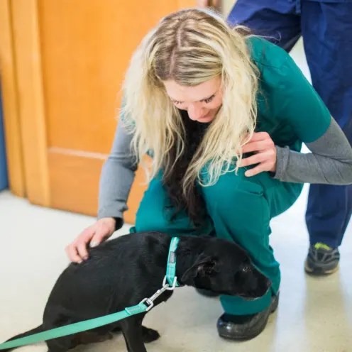 Staff kneeling with dog at Oregon City Veterinary Clinic